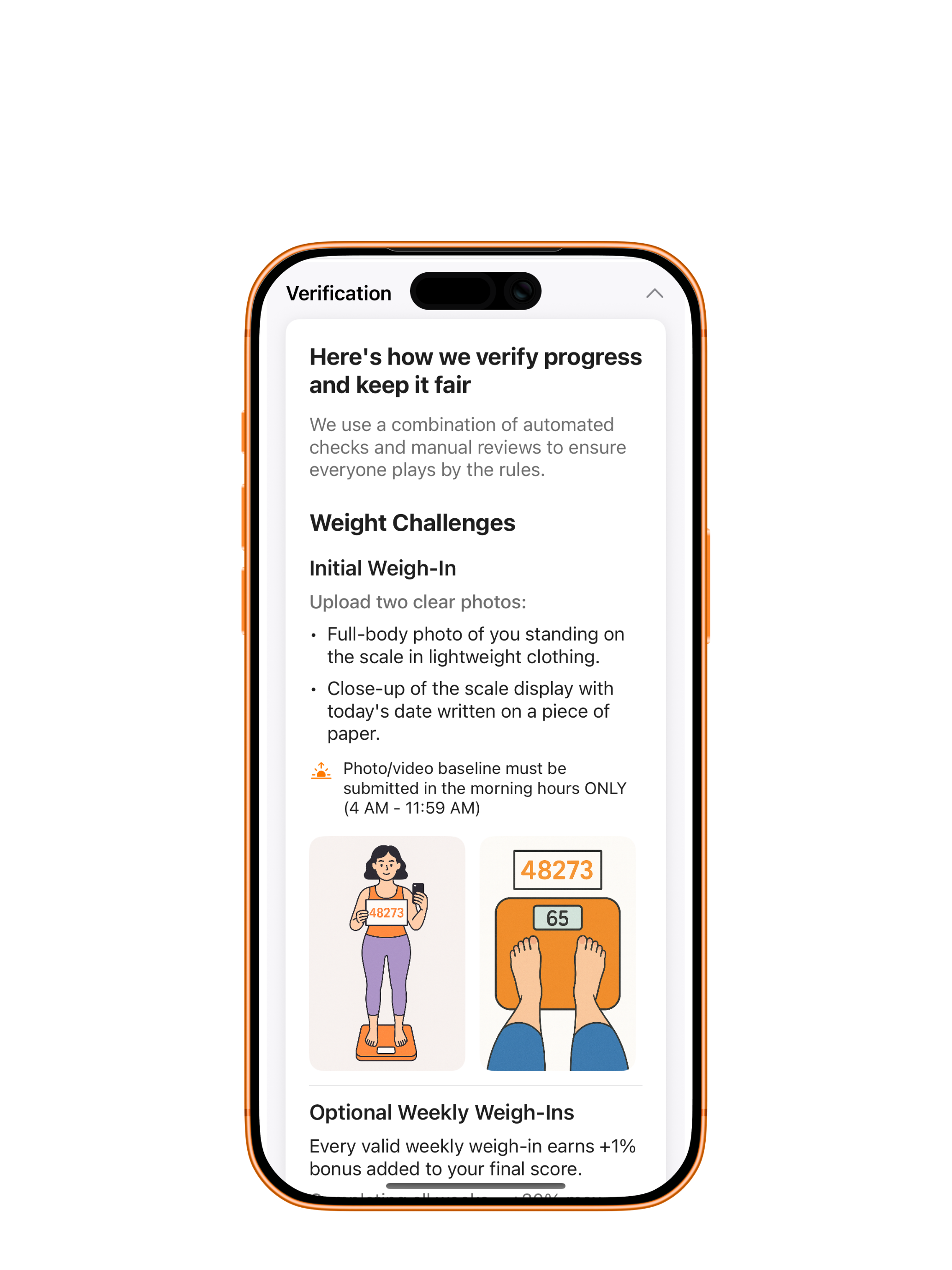 Fair play and verification flow screen